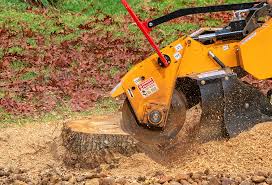 Best Tree Mulching  in Lugoff, SC